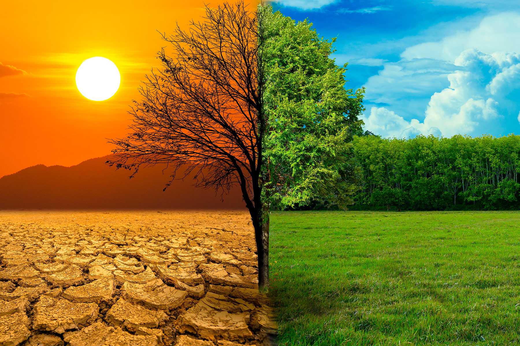 EO for Climate and Environmental Monitoring